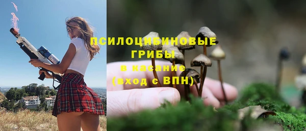 mix Зерноград
