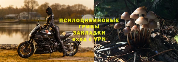 mix Зерноград