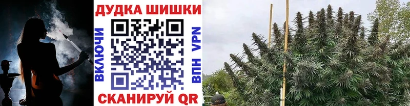 Купить где  Великие Луки  Канабис план 